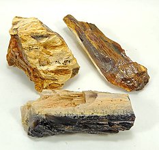 Minerály - Drevný opál Poľana (2.- 3 ks natur) - 12714901_
