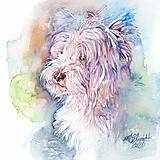  - Akvarelový obraz na želanie - portrét psíka - 12714215_