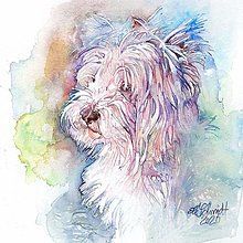 Obrazy - Akvarelový obraz na želanie - portrét psíka - 12714215_