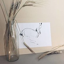 Kresby - zajac poľný - kresba - 12714610_