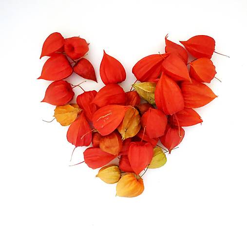 Suroviny - Sušené lampášiky machovky, mix 10ks - 12719707_