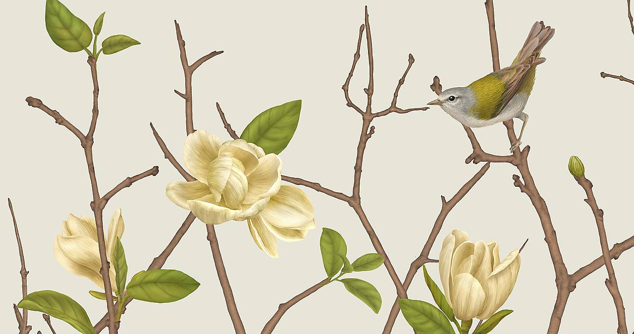 TENNESSEE WARBLER ON TWIG WITH MAGNOLIA 2
