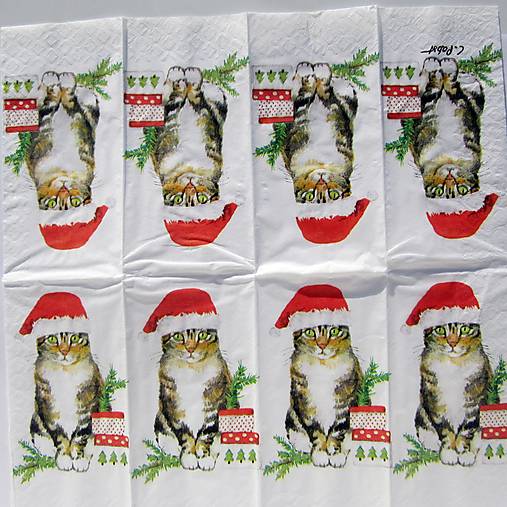 Papier - Servitka M 50 m - 12727769_