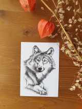 Pohľadnica -Vlk