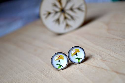 Náušnice - Jiřina..... - 12748041_