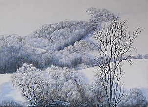Obrazy - Stromy v bielom šate - 12758533_