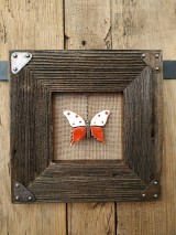 Obraz s rámom zo starého dreva - motýľ