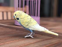 Dekorácie - Andulka - papagájec vlnkovaný, podľa zadania - 12801159_