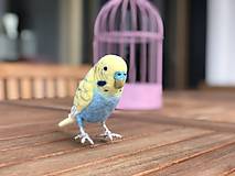 Dekorácie - Andulka - papagájec vlnkovaný, podľa zadania - 12801161_