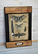 Tabuľky - Entomologické obrázky zo starého kabinetu III. - 12805582_