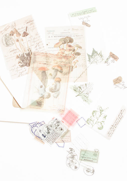 Papier - Ephemera na tvorenie "nature" (Hríby II.) - 12814405_