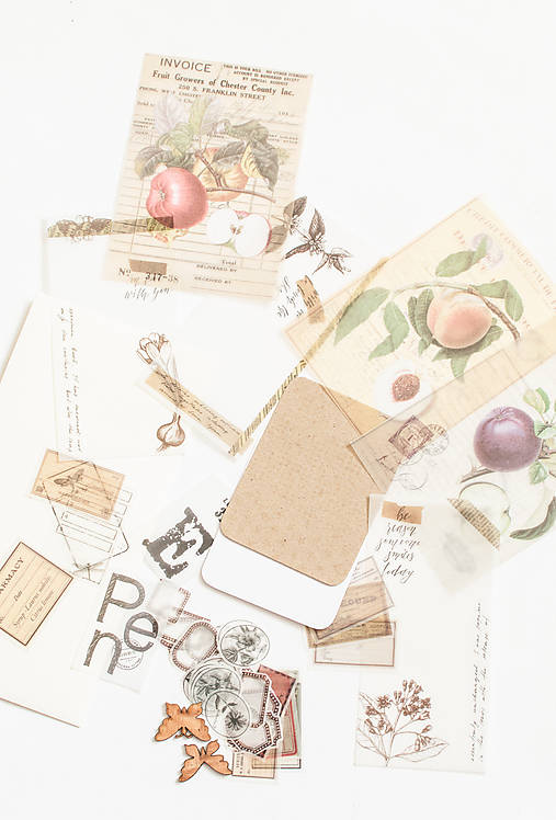 Papier - Ephemera na tvorenie "nature" (Jablko) - 12814413_