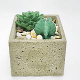 Nádoby - Kvetináč s betónovými kaktusmi Kocka veľká  - 12819664_