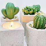 Nádoby - Sada kvetináčov s betónovými kaktusmi Osemuholník malý (Pure Dark) - 12819723_