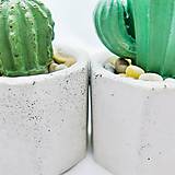 Nádoby - Sada kvetináčov s betónovými kaktusmi Osemuholník malý (Pure Dark) - 12819727_