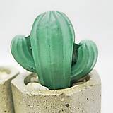 Nádoby - Sada kvetináčov s betónovými kaktusmi Osemuholník malý (Basic) - 12819766_