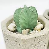 Nádoby - Sada kvetináčov s betónovými kaktusmi Osemuholník malý (Basic) - 12819767_