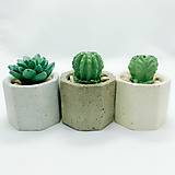 Nádoby - Sada kvetináčov s betónovými kaktusmi Osemuholník malý (Basic) - 12819768_
