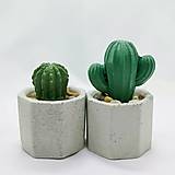 Nádoby - Sada kvetináčov s betónovými kaktusmi Osemuholník malý (Pure Dark) - 12819977_