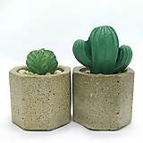 Nádoby - Sada kvetináčov s betónovými kaktusmi Osemuholník malý (Basic) - 12819989_