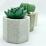 Nádoby - Sada kvetináčov s betónovými kaktusmi Osemuholník malý (Basic) - 12819996_