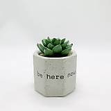 Nádoby - Kvetináč s betónovým kaktusom Osemuholník malý Tatoo (Be here now) - 12849314_