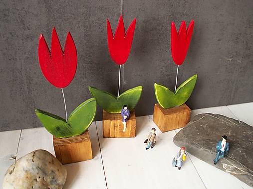 Tulipány
