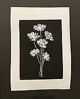 Grafika - Lúčne kvety - linoryt A4 (#1) - 12862369_