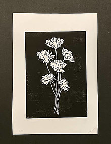 Grafika - Lúčne kvety - linoryt A4 (#2) - 12862379_