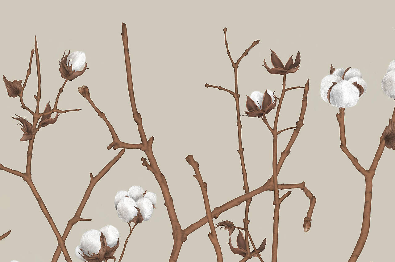 SPARROW ON COTTON PLANT