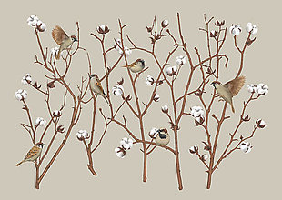 Obrazy - SPARROW ON COTTON PLANT - 12865846_
