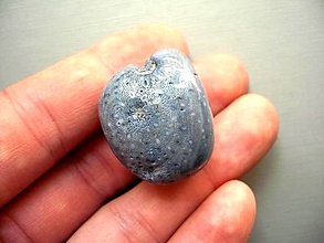 Minerály - Troml. - modrý korál 29 mm, č.13f - 12874850_