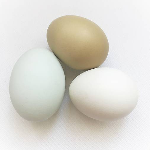  - kačacie vyfúknuté vajíčka (biela) - 12898728_