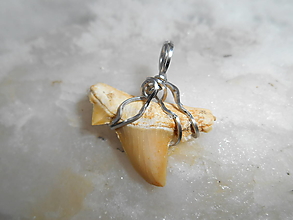Pánske šperky - otodus obliquus -,,žraločí zub,, II (otodus obliquus-žraločí zub VII) - 12902960_