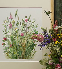 Obrazy - Obraz "Lúčne kvety" (21x29,7cm) - 12899260_