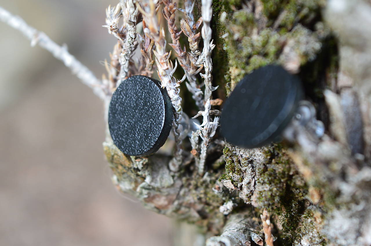 Náušnice Simple  (Čierna (Ø 1,5 cm ))