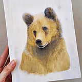 Obrazy -  Medveďku - akvarel na dreve - 12917095_