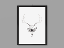 Grafika - Art Print| Lebka jeleňa a Smrtihlav| 05 - 12925075_