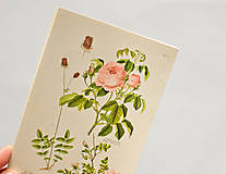 Papier - Pohľadnica "Atlas, botanický list 32" - 12936869_