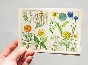 Papier - Pohľadnica "Atlas k botanice, 1868" - 12936684_