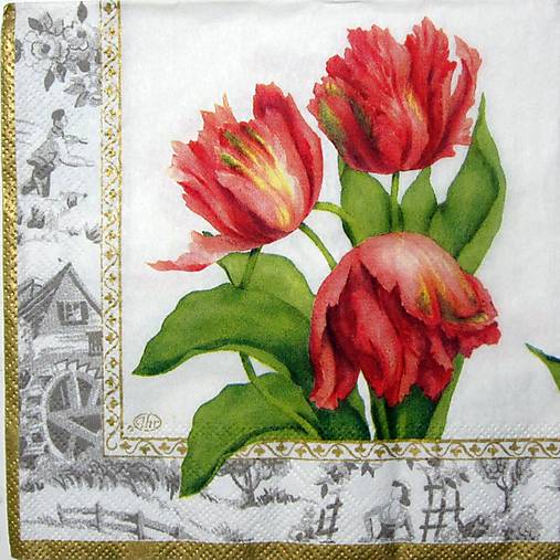 Papier - Servitka K 55 - 12945036_