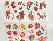 Papier - Set nálepiek "Botany Red" - 12943430_