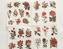 Papier - Set nálepiek "Botany Red" - 12943434_