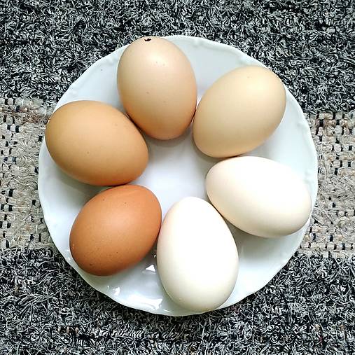 Iný materiál - VÝDUTKY (hnedá/béžová) - 12992306_