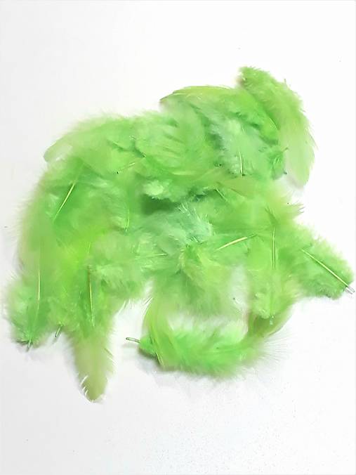 Iný materiál - Dekoračné pierka (Svetlo zelená) - 12999114_