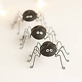 pavúčik pre šťastie
