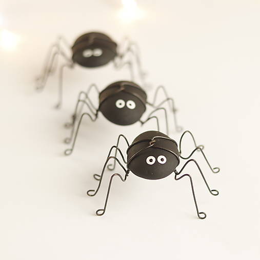pavúčik pre šťastie