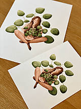 Grafika - Sama s pileou - Print | Botanická ilustrácia - 13017899_