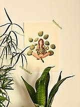 Grafika - Sama s pileou - Print | Botanická ilustrácia - 13018009_