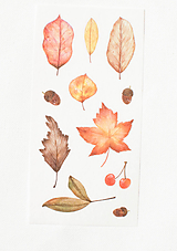 Papier - Akvarelový set - nálepky "jeseň" - 13023740_